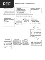 Esquema Jucio Ejecutivo de Accion Cambiaria