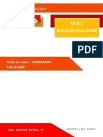 2022-2023 FC Membrane Cellulaire VF