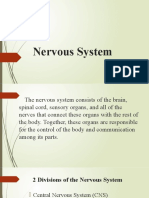 Nervous System