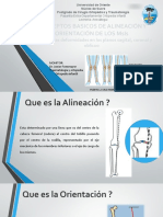 Conceptos Basicos de Alineación y Orientación de Los MsIs REYES 2020