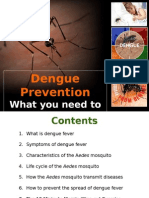 Dengue Prevention: What You Need To Know