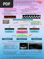 Infografia NEUROMONITOREO ECOGUIADO CORREGIDO