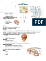 UNIDAD 1 de NEURO