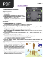 Trematodes Resumen Francois