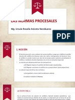 LAS NORMAS PROCESALES-SESIÓN 5 m6SkRdK