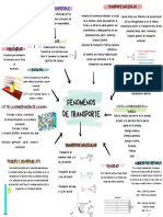 Mapa Conceptual Fenomenos de Transporte