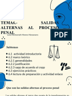 Salidas Alternas PP