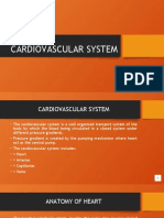 Cardiovascular System