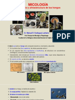 Micología: Morfología y Ultraestructura de Los Hongos'23