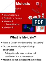 Meiosis