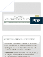 6.3 Cell Structure Function & Organelles