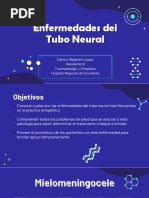 Enfermedades Del Tubo Neural - Danery López-2