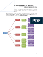 Teorias Desarrollo