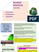 Principios Ambiental 2023