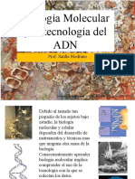 Bio II Protocolo 10 Analisis de ADN