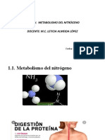 1.2 Degradación de Aminoácidos