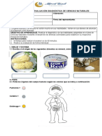 4to Evaluación Diagnóstica Ciencias Naturales 2023 2024