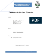 Caso Practico Los Girasoles EQUIPO TICS