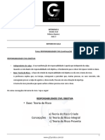 Roteiro de Aula - Intensivo II - Direito Civil - Mônica Queiroz - Aula 3