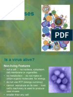 Viruses