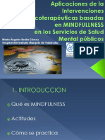 MINDFULLNESSinterpsiquis 1