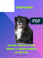 Dog Disciplinado