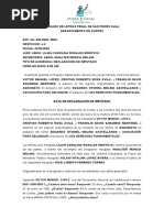 Acta - Audiencia de Declaración de Imputado