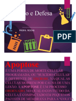 Apoptose Inflamação Circulatorio Hemorragia Choqanafilatico Trombo Embolia Infarto