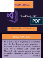 Visual Basic