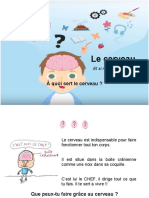 Neuroéducation Enfants