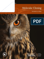 Molecular Cloning Technical Guide