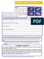 D1 A2 FICHA PS. Conocemos La Historia A Través de Distintas Fuentes.