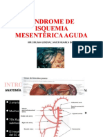 Isquemia Mesenterica Aguda