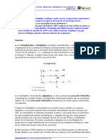 Examen de Biologia Andalucia 1