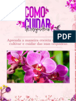 Como Cuidar de Orquídeas