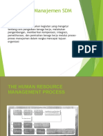 Human Resource Management Process