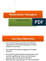 (I2M Week 6-7) Multicellular Pathogens