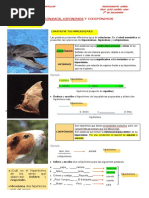 Hiperonimos Hiponimos Ejercicios