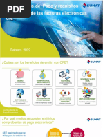 Comprobante de Pago Electronico - Febrero 2022 - Ultimo-18