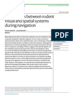 Interactions Between Rodent Visual and Spatial Systems During Navigation