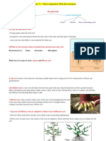 Chapter 7 A Root