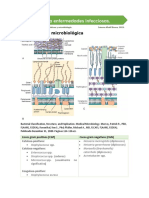 Terapia Contra Enfermedades Infecciosas