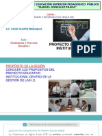 Proyecto Educativo Institucional: Docente