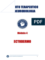 Manual Modulo 4 Ectodermo Letra 13-1-1