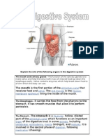 The Digestive System