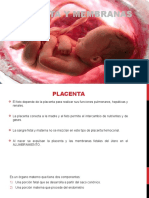 PLACENTA Y MEMBRANAS Expo