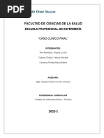 PDF Documento