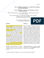 Descripción Anatómica de Bradypus Variegatus en La Amazonia Colombiana