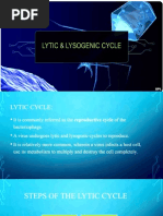 Lytic and Lysogenic Cycle