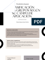 Clasificación de Los Grupos Según Su Campo de Aplicación